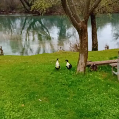 Villa Lila Mostar