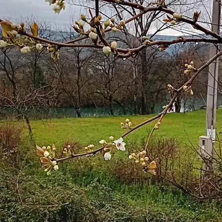 Villa Lila *